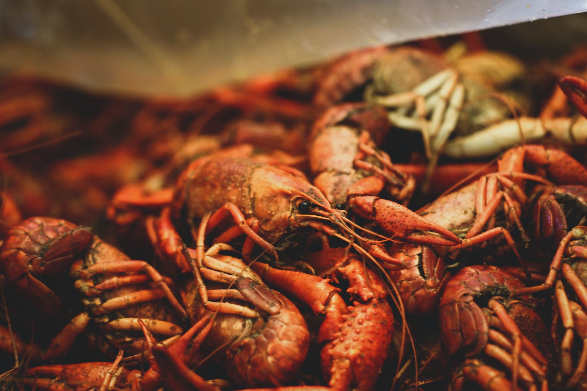 Where You Can Find The Best Cajun Food in Dallas