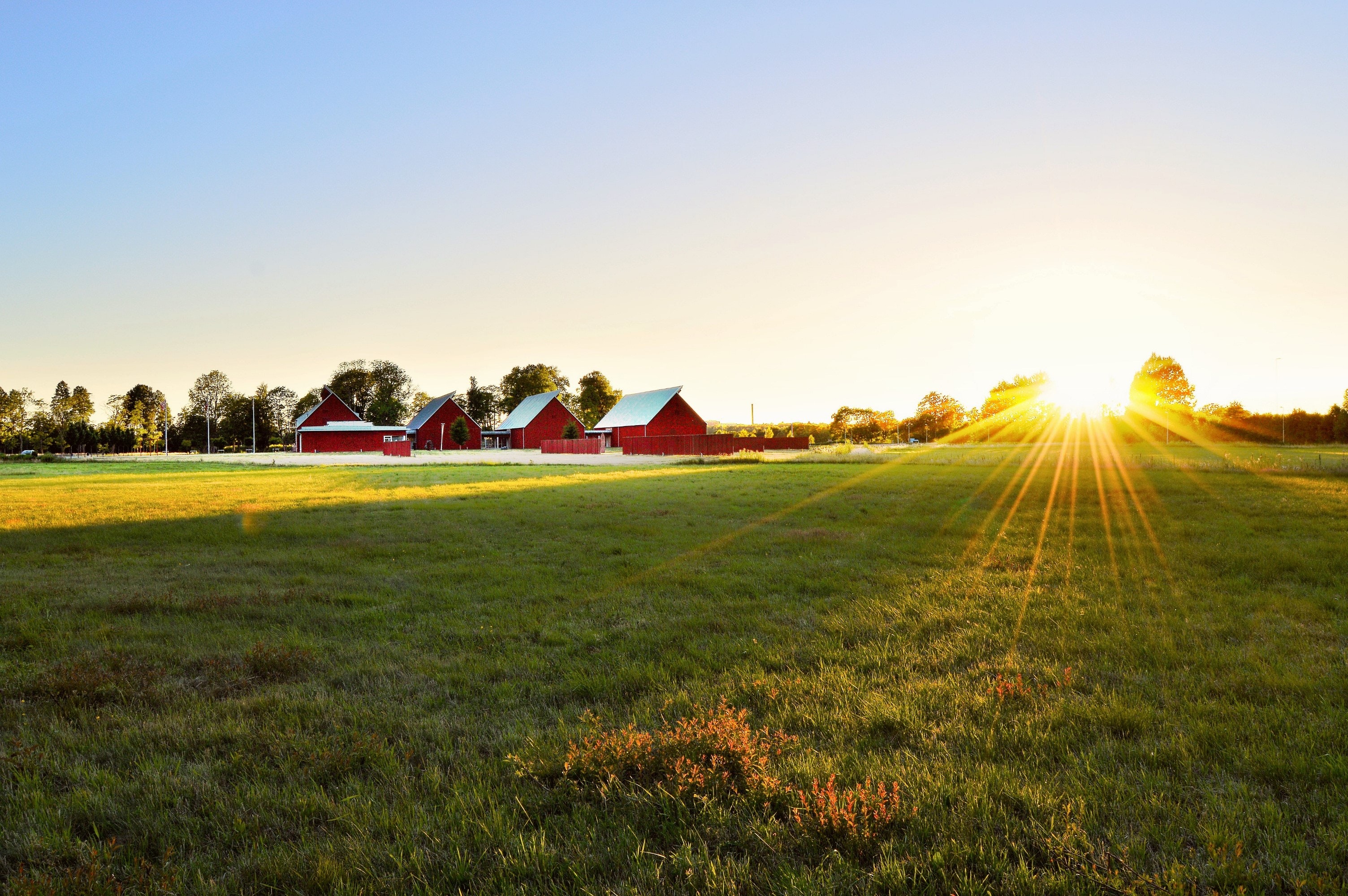 Spend the Day at These Farms Around Dallas